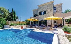 Suite With Pool Petmat
